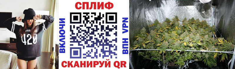 Где купить наркоту Камень-на-Оби MDMA Alpha-PVP Кокаин Меф АМФ Каннабис ГАШ