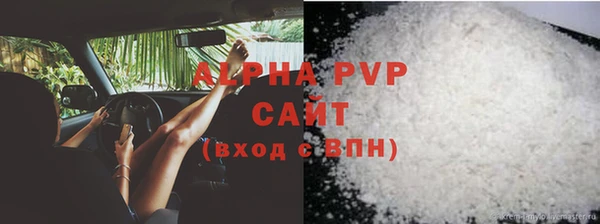прущие грибы Магадан