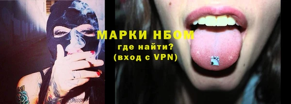 прущие грибы Магадан
