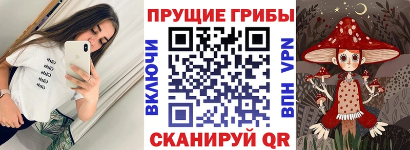 Галлюциногенные грибы ЛСД  купить наркотик  darknet какой сайт  Камень-на-Оби 