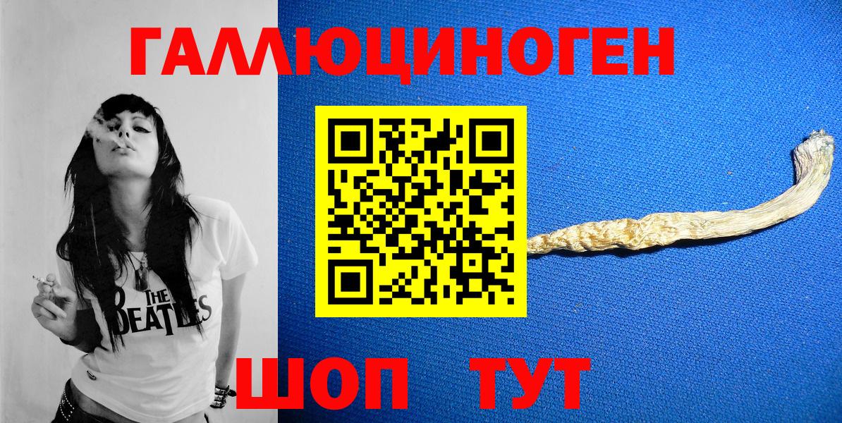 Галлюциногенные грибы GOLDEN TEACHER  где продают   Камень-на-Оби  Галлюциногенные грибы ЛСД 