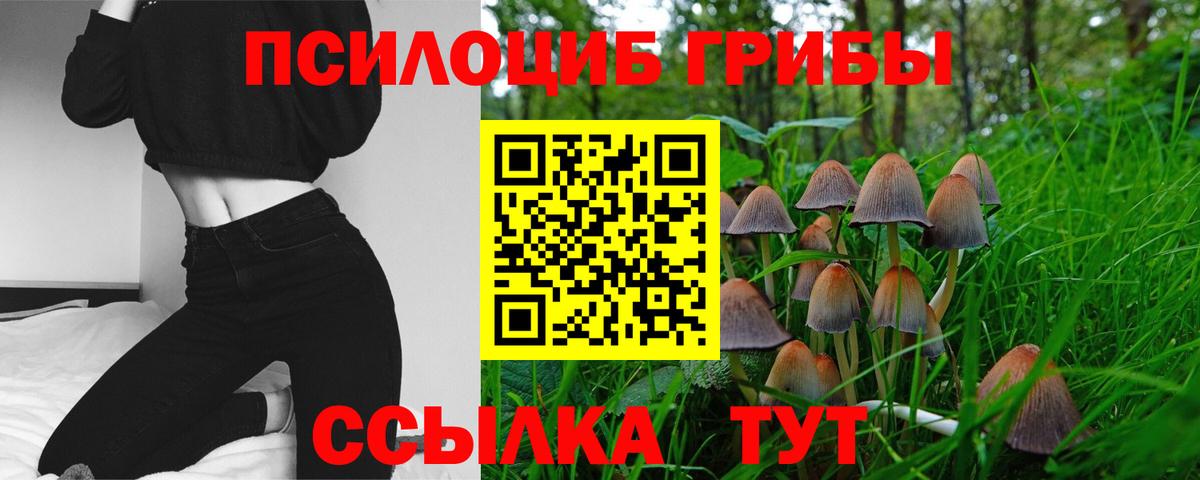 NBOMe Камень-на-Оби